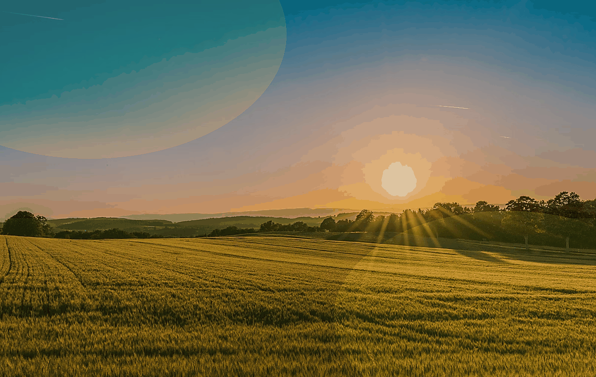 Agricultura e Rural em destaque